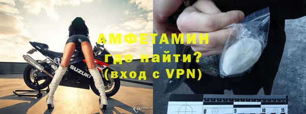 шишки Бородино