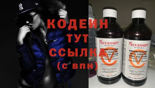 шишки Бородино