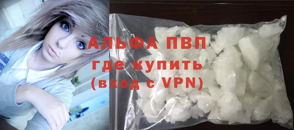 шишки Бородино