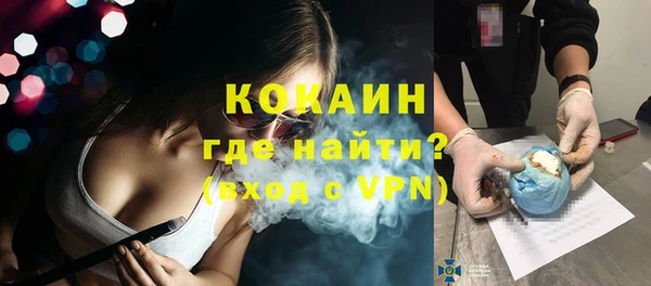 шишки Бородино