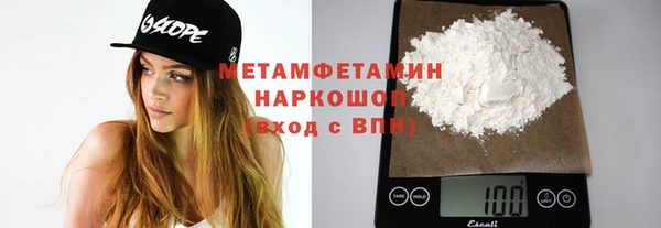 шишки Бородино