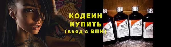 шишки Бородино