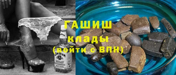 шишки Бородино