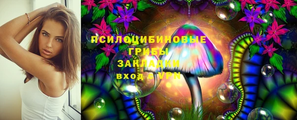 шишки Бородино