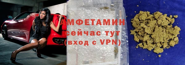 шишки Бородино