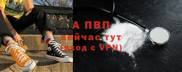 шишки Бородино