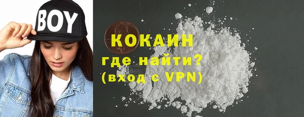 шишки Бородино