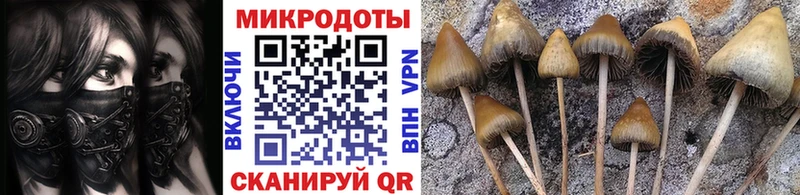 Галлюциногенные грибы MAGIC MUSHROOMS Гусь-Хрустальный